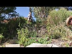 Stepdaughter takes a cum facial from the gardener in the backyardn9icibwv